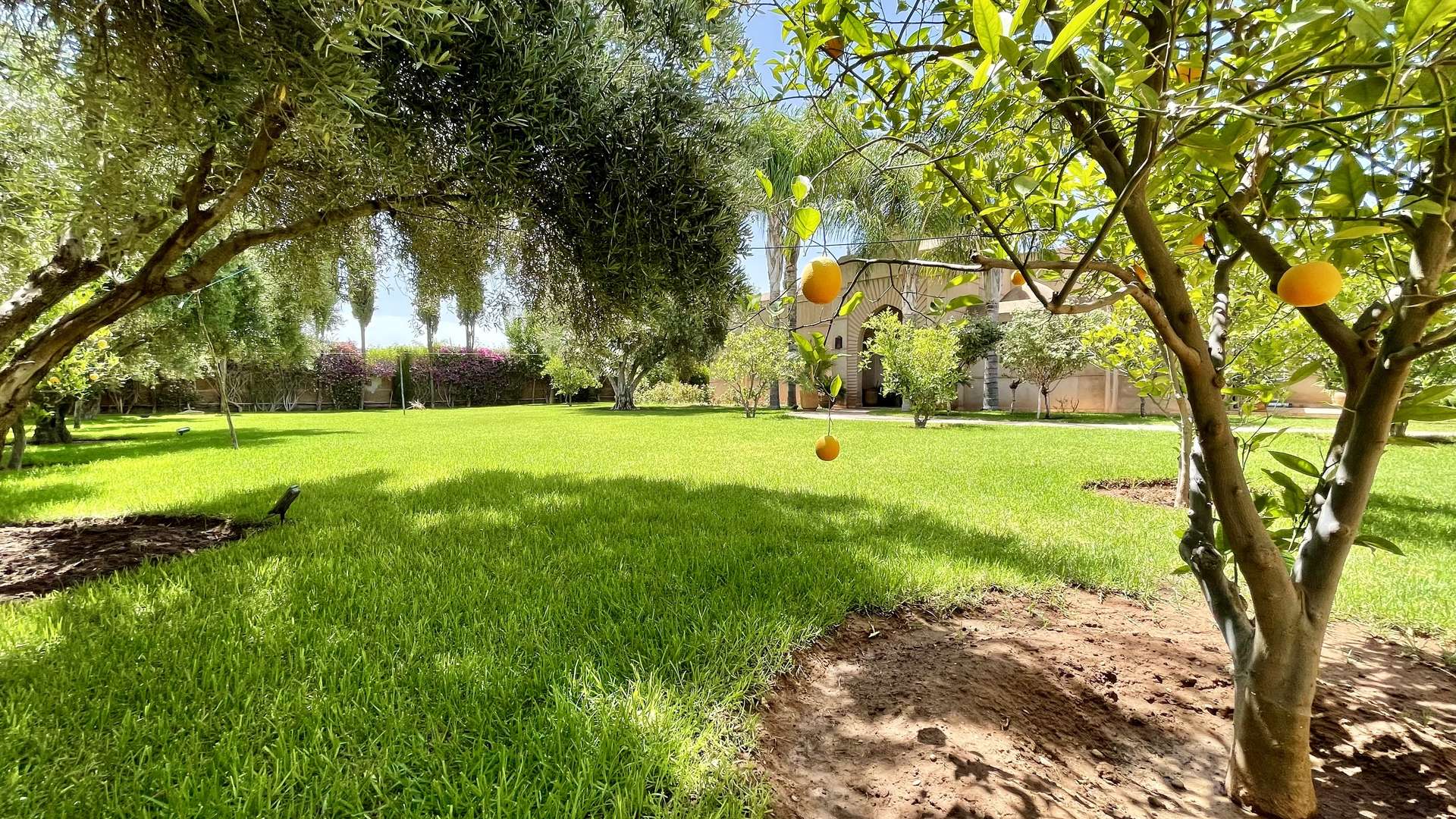 Vente,Villa,Somptueuse Villa de style Riad de plain-pied 4 suites sur un parc de 4200M2,Marrakech,Route d'Ouarzazate