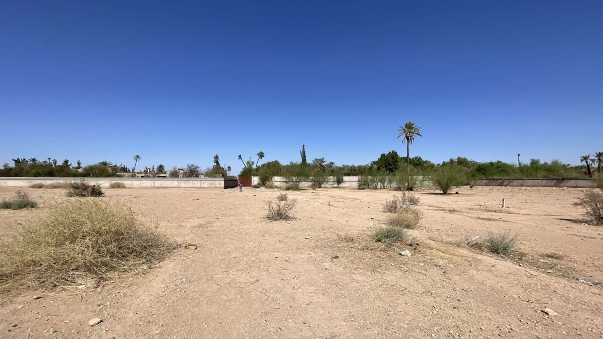 Vente,Terrains & Fermes,Terrain 2 Ha dans la Palmeraie ,Marrakech,Palmeraie