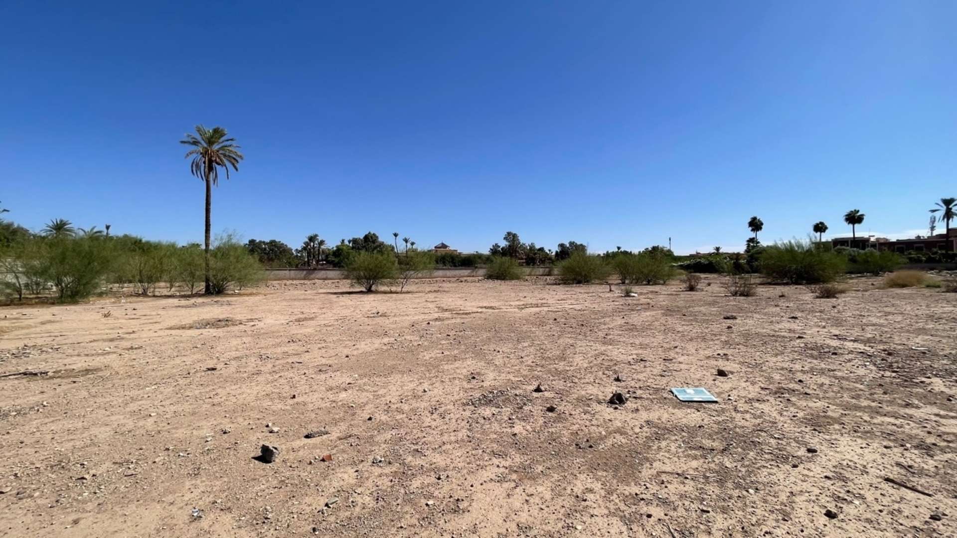 Vente,Terrains & Fermes,Terrain 2 Ha dans la Palmeraie ,Marrakech,Palmeraie