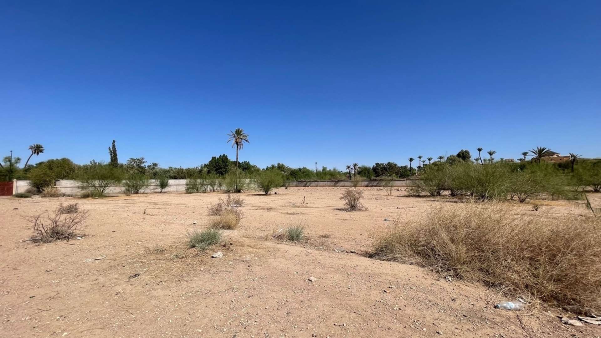 Vente,Terrains & Fermes,Terrain 2 Ha dans la Palmeraie ,Marrakech,Palmeraie
