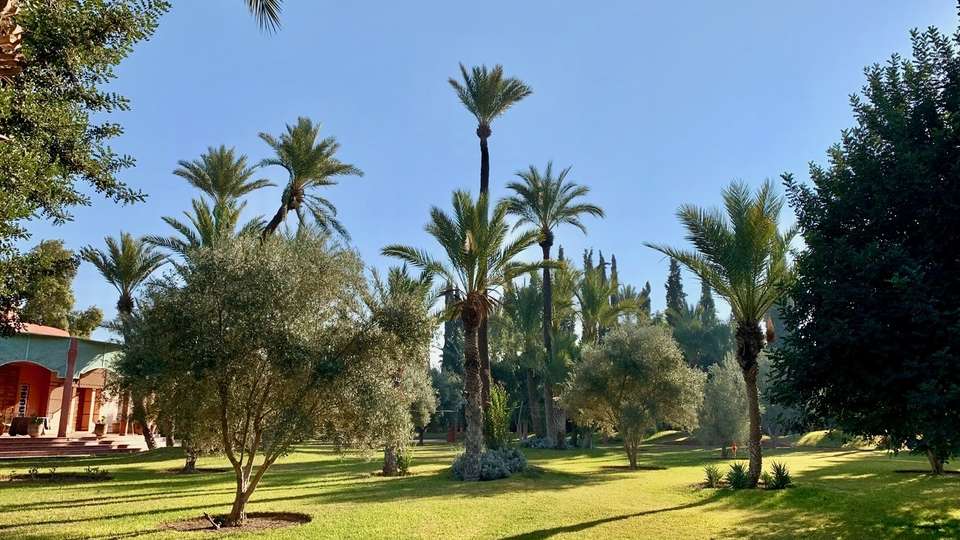 Villa Villa 650, Location à Ibiza