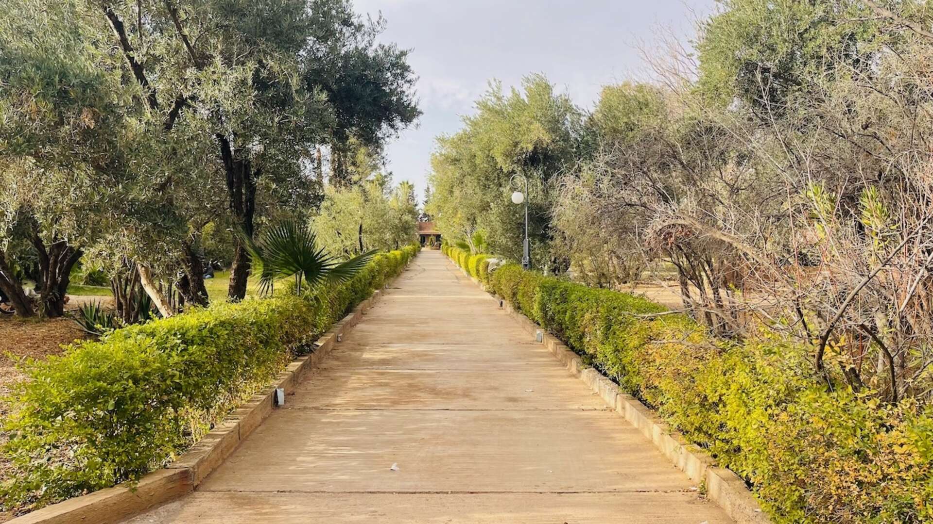 Vente,Villa,À Vendre : Propriété de Prestige à Marrakech – Idéale pour Maison d’Hôtes ou Investissement locatif,Marrakech,Route d'Ouarzazate