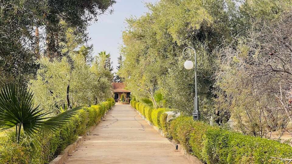 Villa Villa 650, Location à Ibiza
