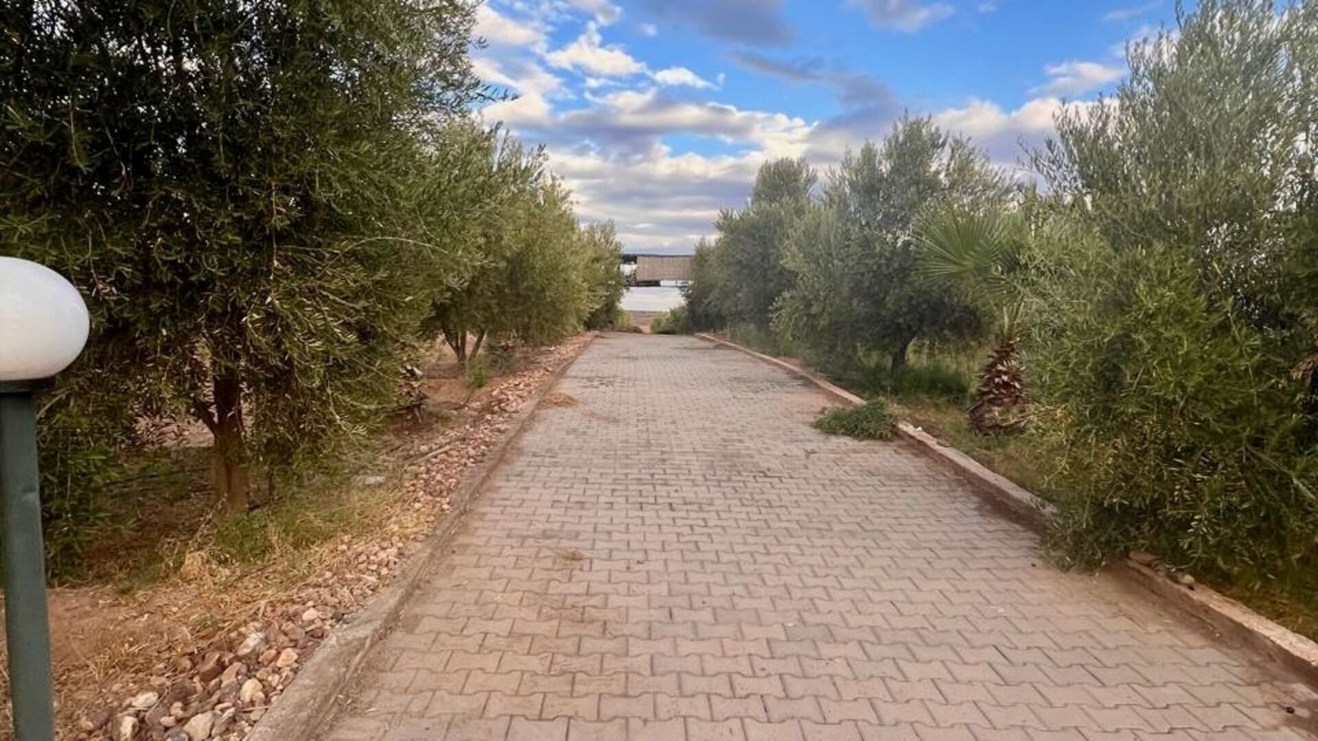 Vente,Terrains & Fermes,À Vendre : Terrain Arboré d’Exception - Idéal pour Projet Immobilier,Marrakech,Route d'Agafay