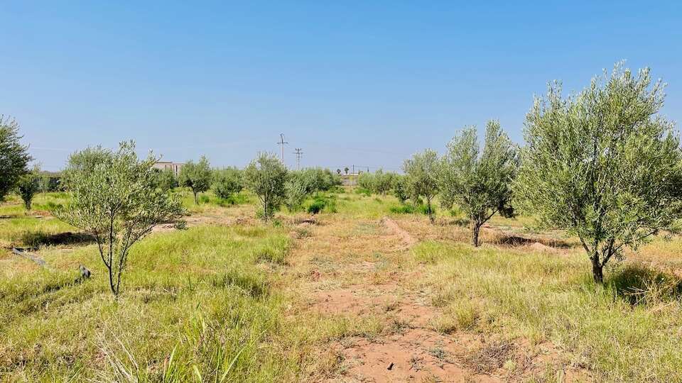 Villa Villa 650, Location à Ibiza