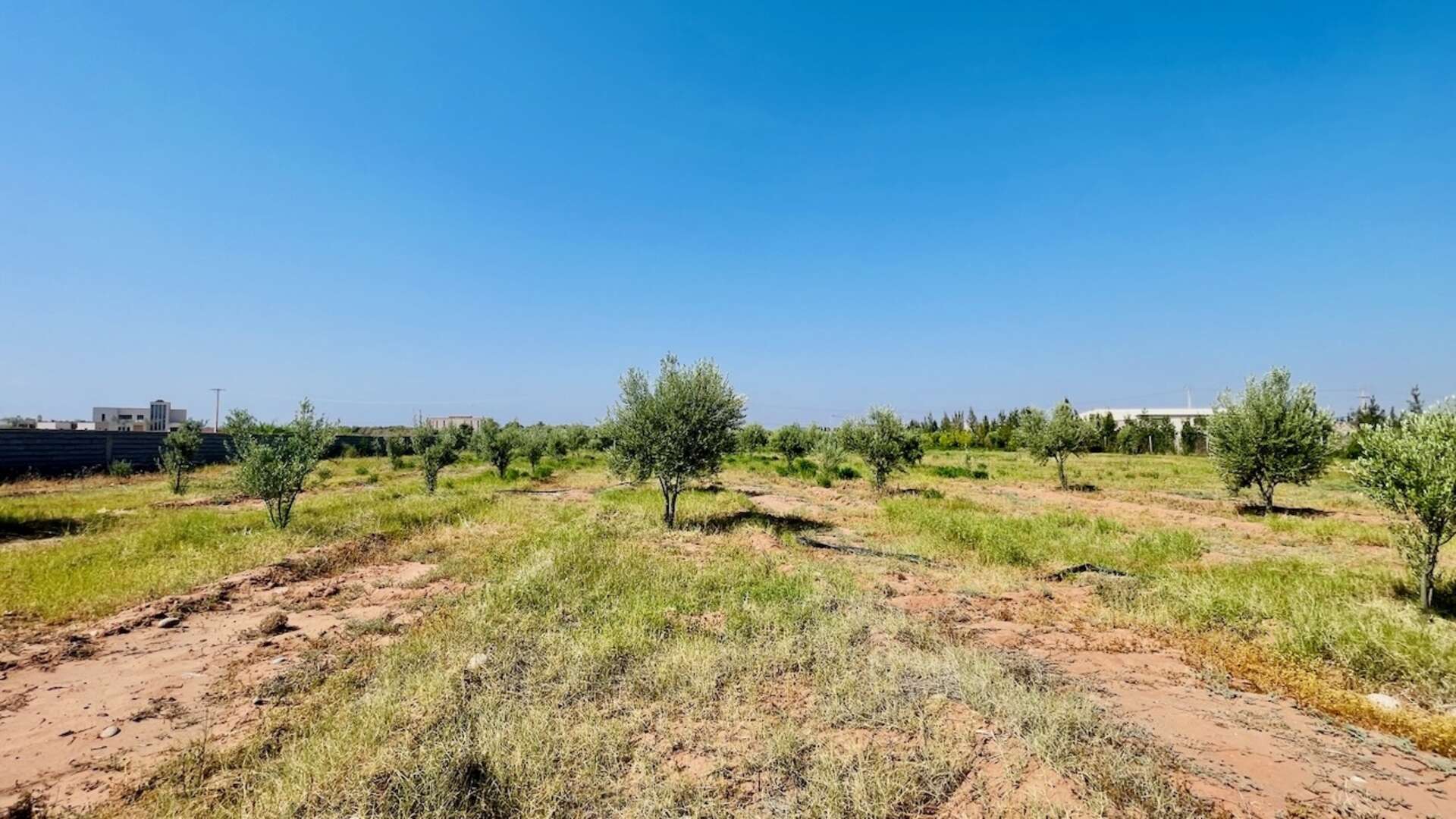 Vente,Terrains & Fermes,À Vendre – Terrain d’1 Hectare Clôturé avec Infrastructures – Route de Fès, Marrakech,Marrakech,Route de Fès