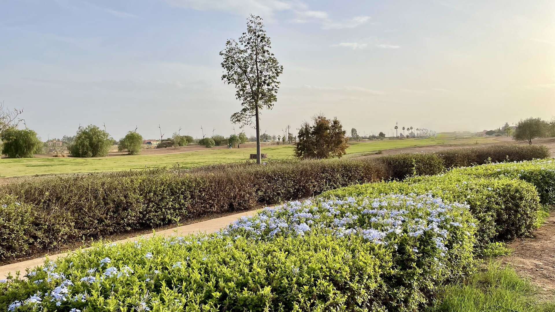 Location longue durée ,Appartement, À louer – Superbe appartement meublé en rez-de-jardin avec vue imprenable sur le golf et l’Atlas,Marrakech,Golf Prestigia