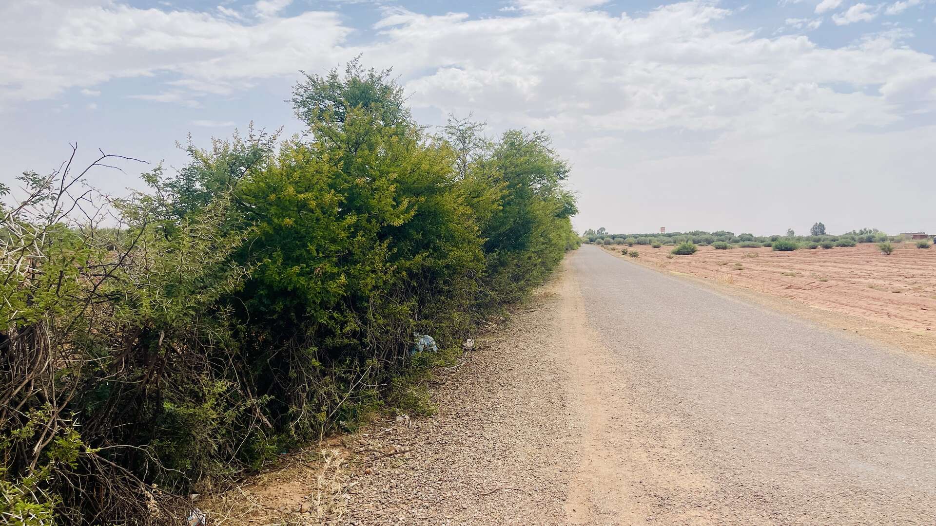 Vente,Terrains & Fermes,À Vendre – Ferme d’Oliviers de 68 Hectares Équipée – Production d’Huile et Conserve,Marrakech,Route de Fès