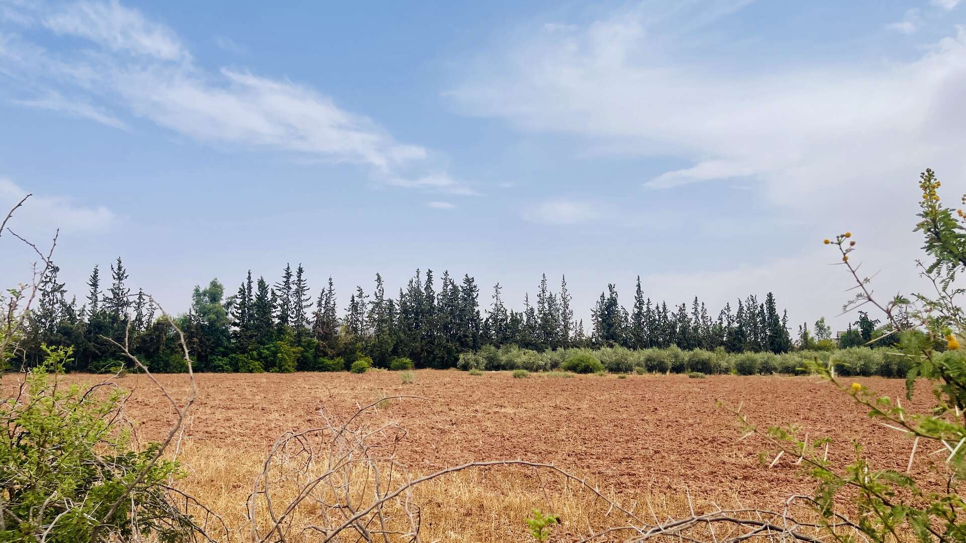 Vente,Terrains & Fermes,À Vendre – Ferme d’Oliviers de 68 Hectares Équipée – Production d’Huile et Conserve,Marrakech,Route de Fès