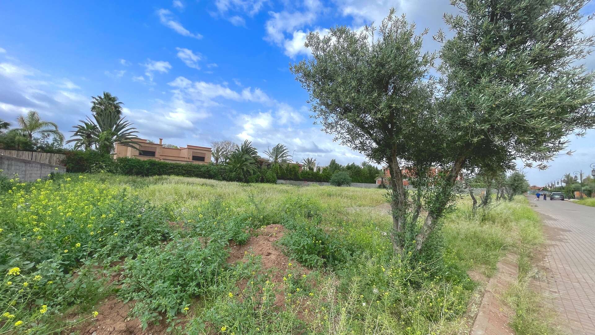 Vente,Terrains & Fermes,Terrain d’exception à vendre – Vue Atlas & Golf Amelkis,Marrakech,Atlas Nakhil