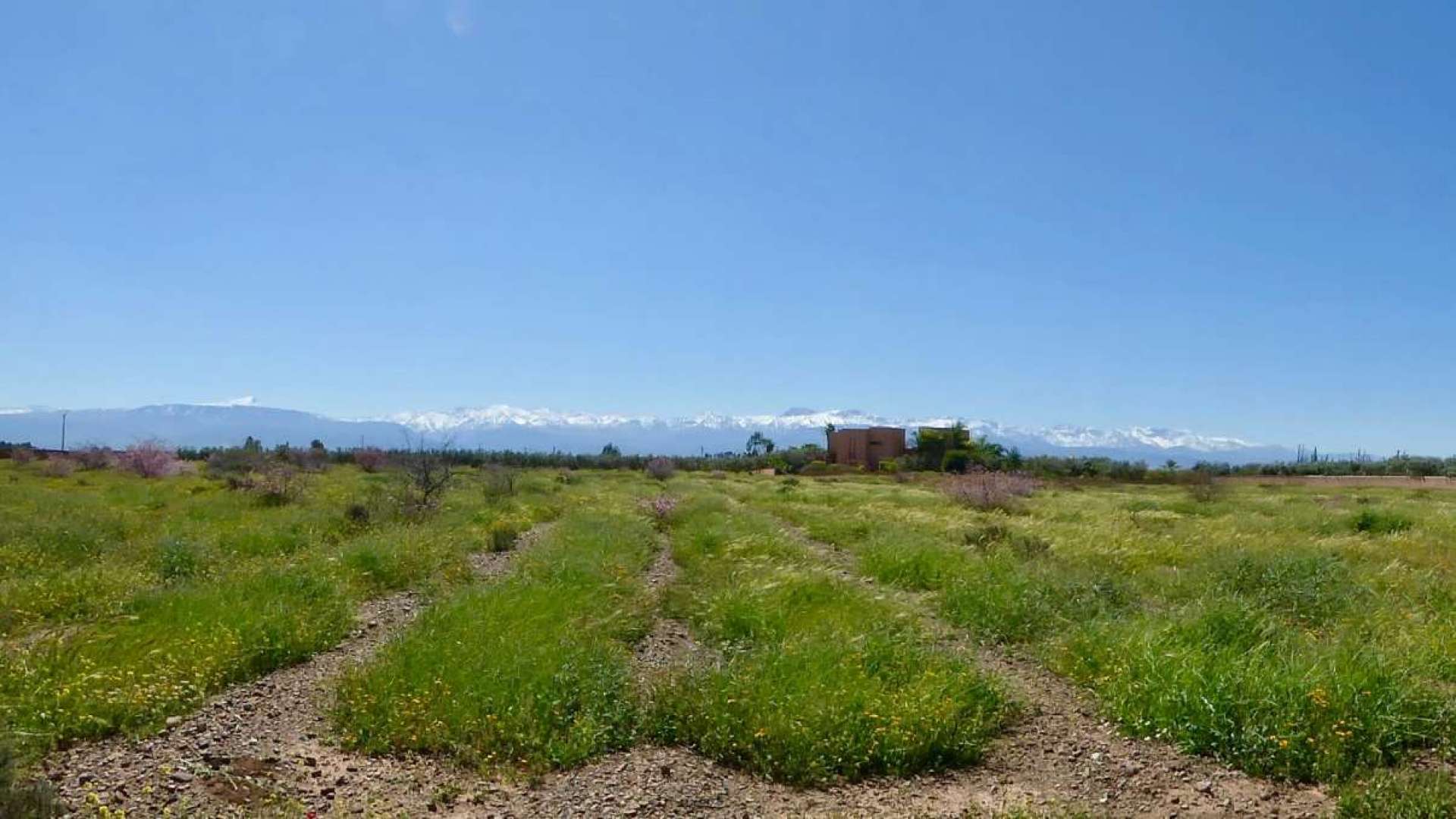 Vente,Terrains & Fermes,Affaire Immobilière à saisir: Projet Immobilier sur 11Ha à proximité des 3 Golfs principaux de Marrakech,Marrakech,Sidi Abdellah Ghiyate