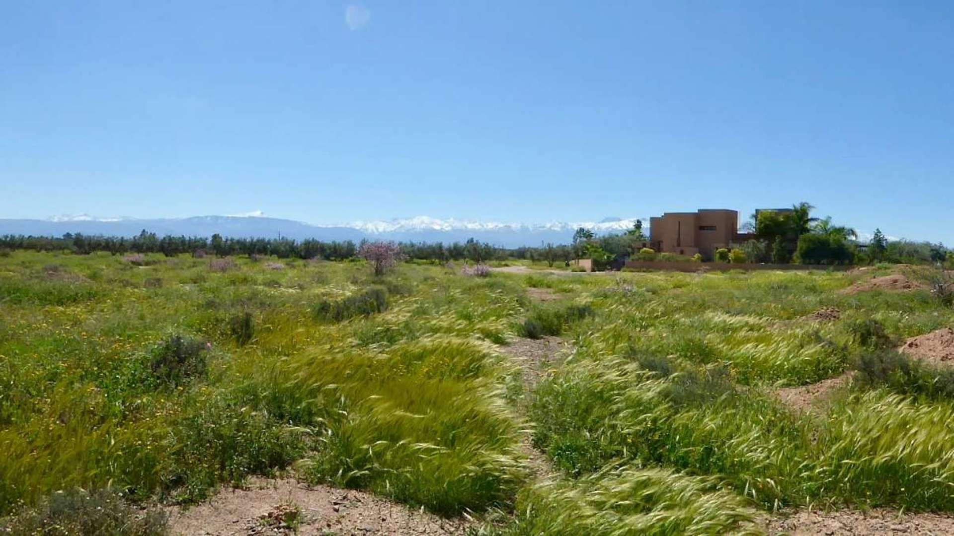 Vente,Terrains & Fermes,Affaire Immobilière à saisir: Projet Immobilier sur 11Ha à proximité des 3 Golfs principaux de Marrakech,Marrakech,Sidi Abdellah Ghiyate