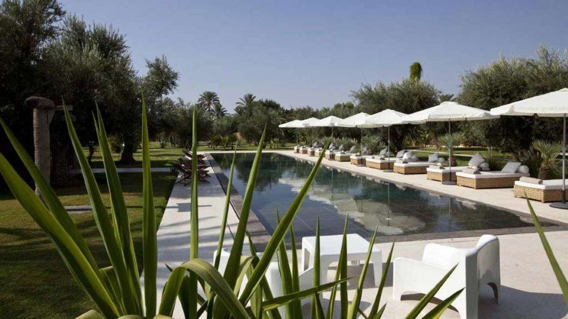 Location de vacances,Villa,Propriété de 10 suites d'exception - Services hôteliers - Piscine chauffée ,Marrakech,Bab Atlas