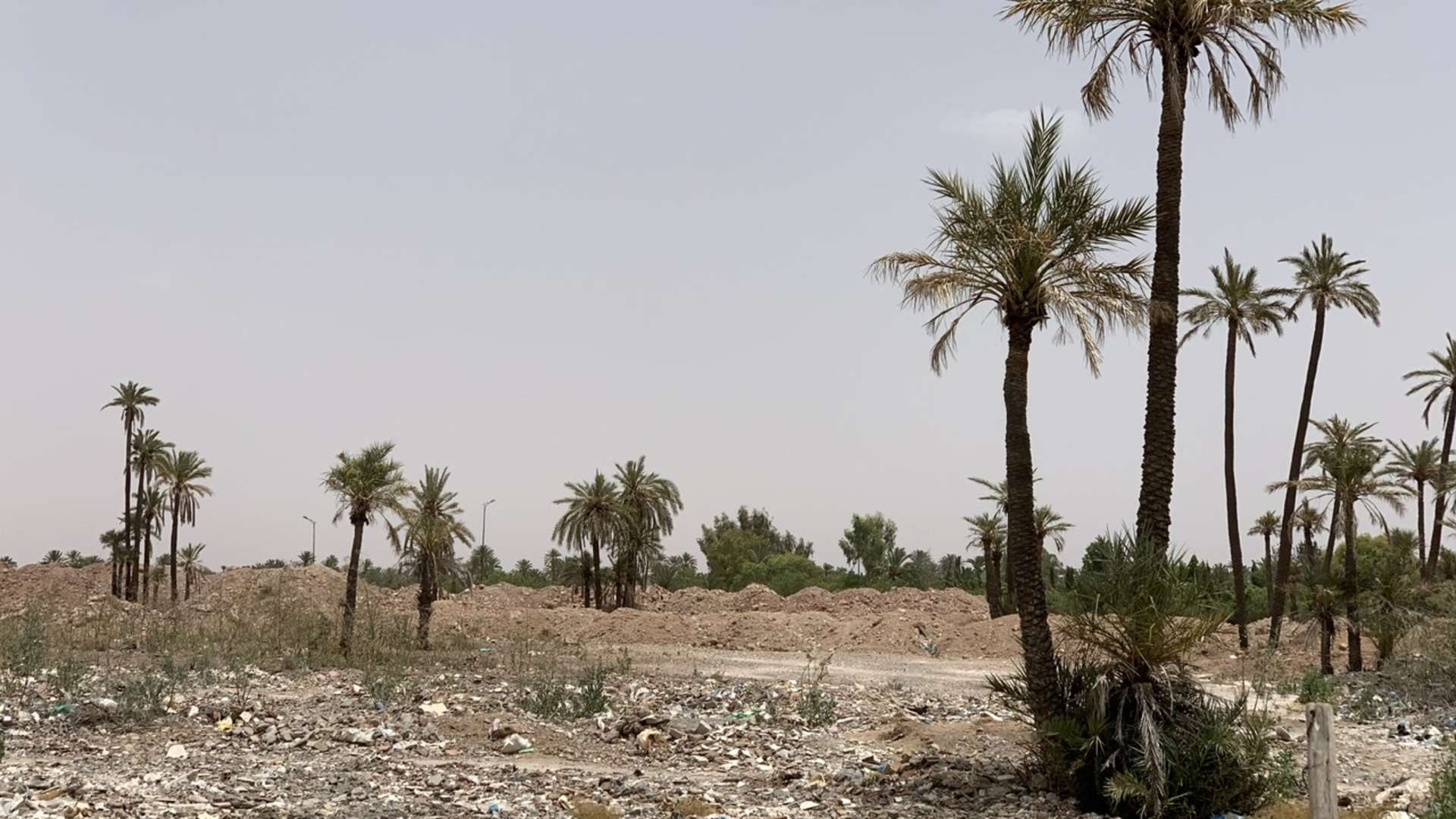 Vente,Terrains & Fermes,Terrain à la vente à Boumesmar. Surface de 9162.0 m²,Marrakech,Daoudiat