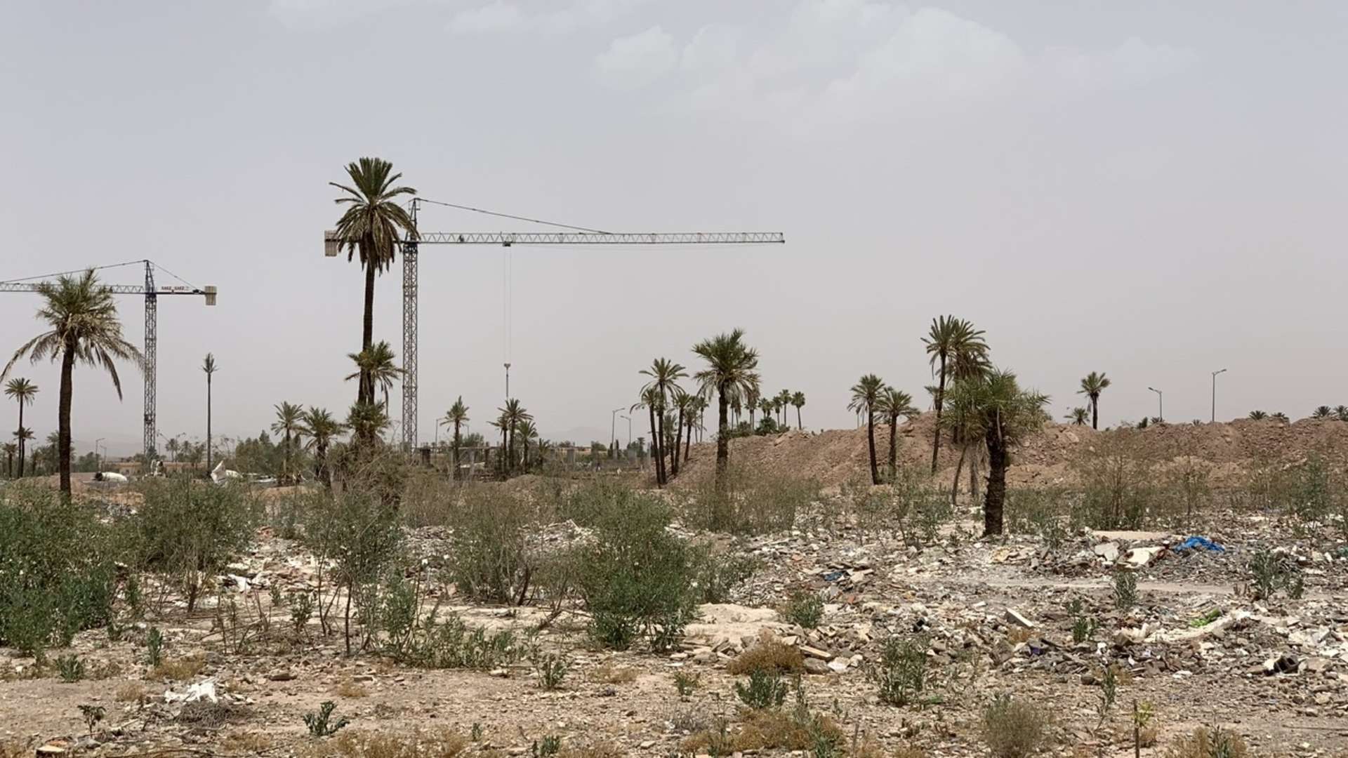 Vente,Terrains & Fermes,Terrain à la vente à Boumesmar. Surface de 9162.0 m²,Marrakech,Daoudiat