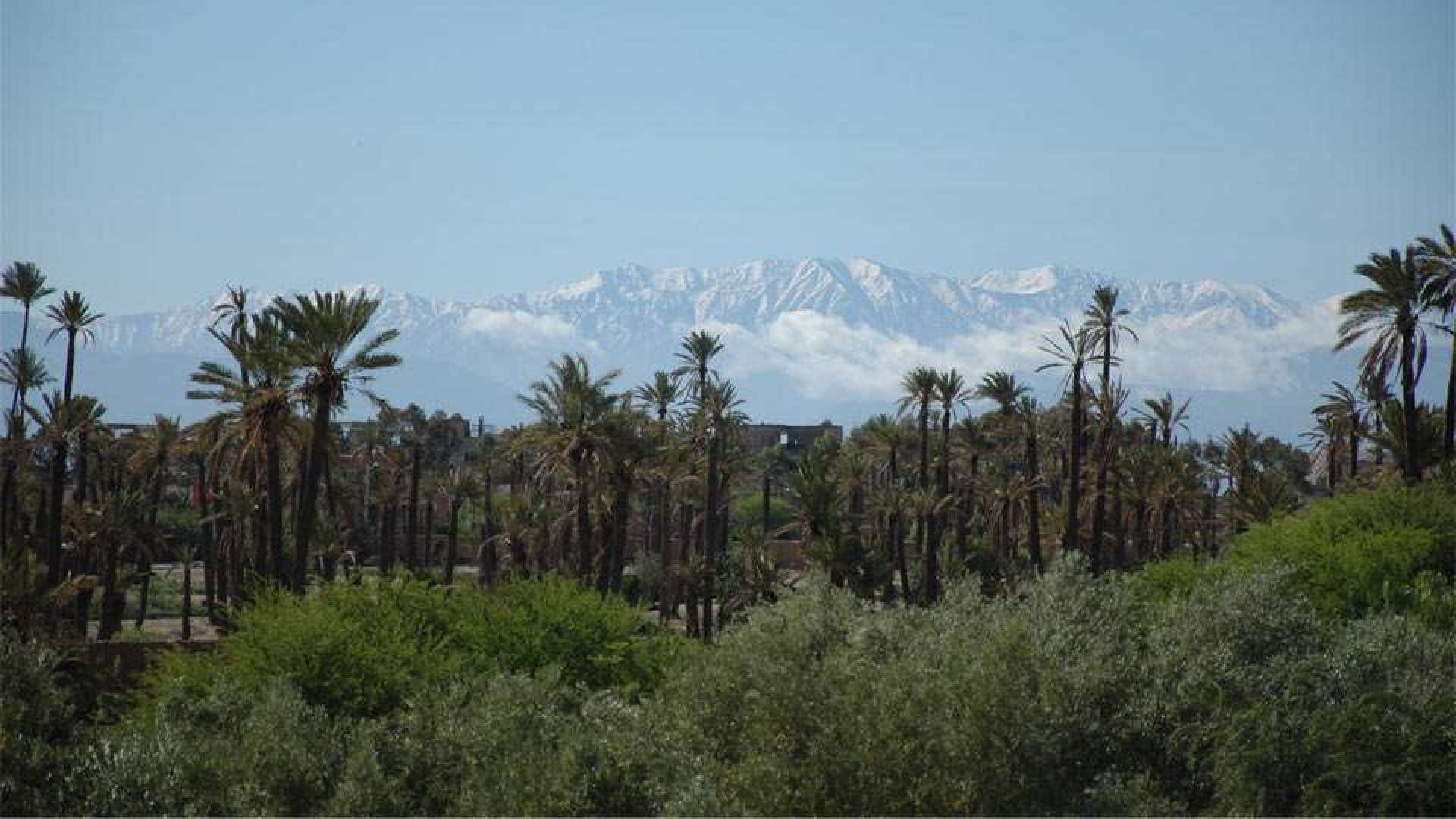 Location de vacances,Villa,VILLA DE STYLE CONTEMPORAIN SUR UN BEAU PARC ARBORÉ À LA PALMERAIE,Marrakech,Palmeraie