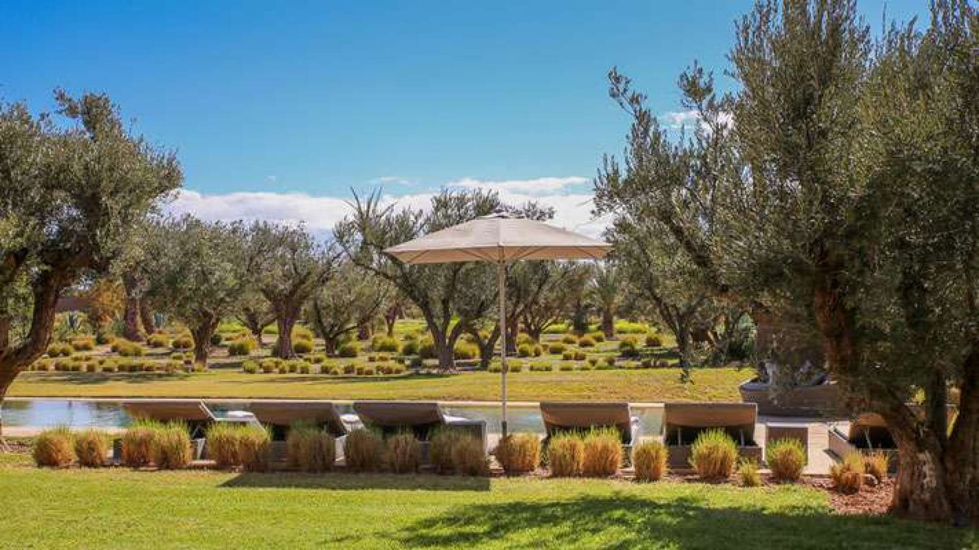 Location longue durée ,Villa,Somptueuse villa 6ch dans la Palmeraie avec piscine couverte,Marrakech,Palmeraie