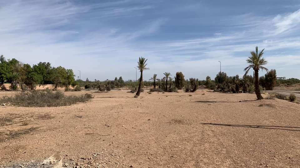 Villa Villa 650, Location à Ibiza