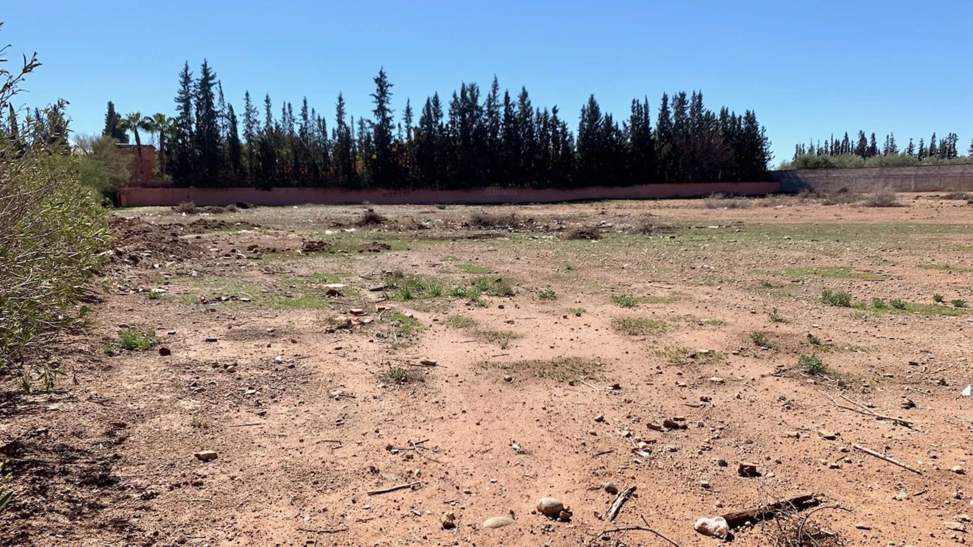 Vente,Terrains & Fermes,Lot de terrain d'1 Hectare bien situé dans la palmeraie à Marrakech,Marrakech,Palmeraie