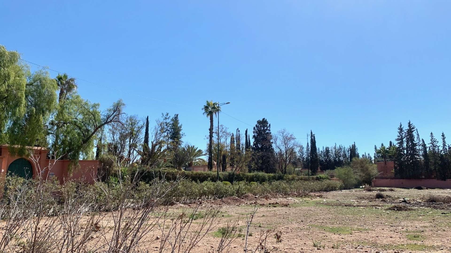 Vente,Terrains & Fermes,Lot de terrain d'1 Hectare bien situé dans la palmeraie à Marrakech,Marrakech,Palmeraie