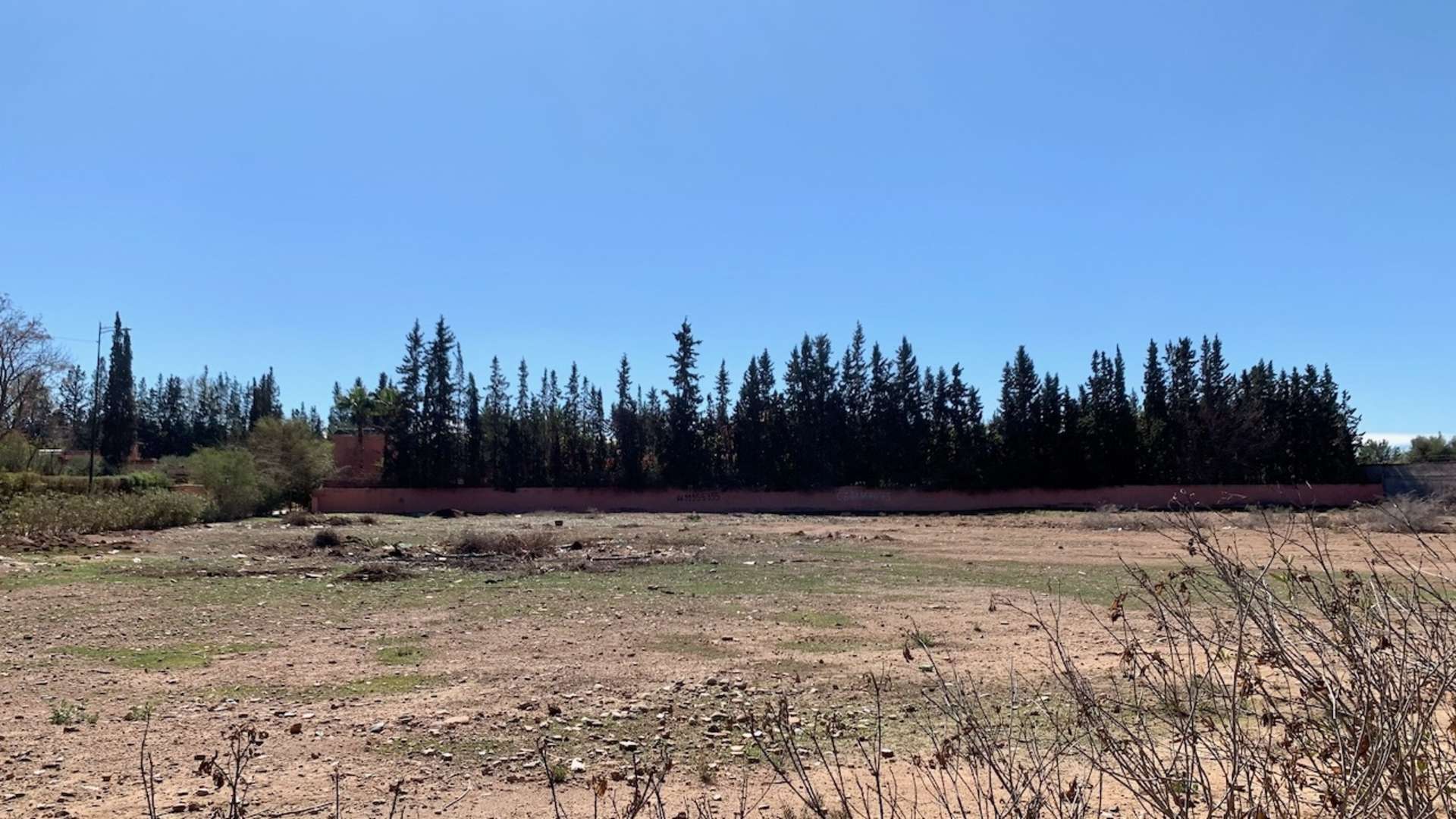 Vente,Terrains & Fermes,Lot de terrain d'1 Hectare bien situé dans la palmeraie à Marrakech,Marrakech,Palmeraie