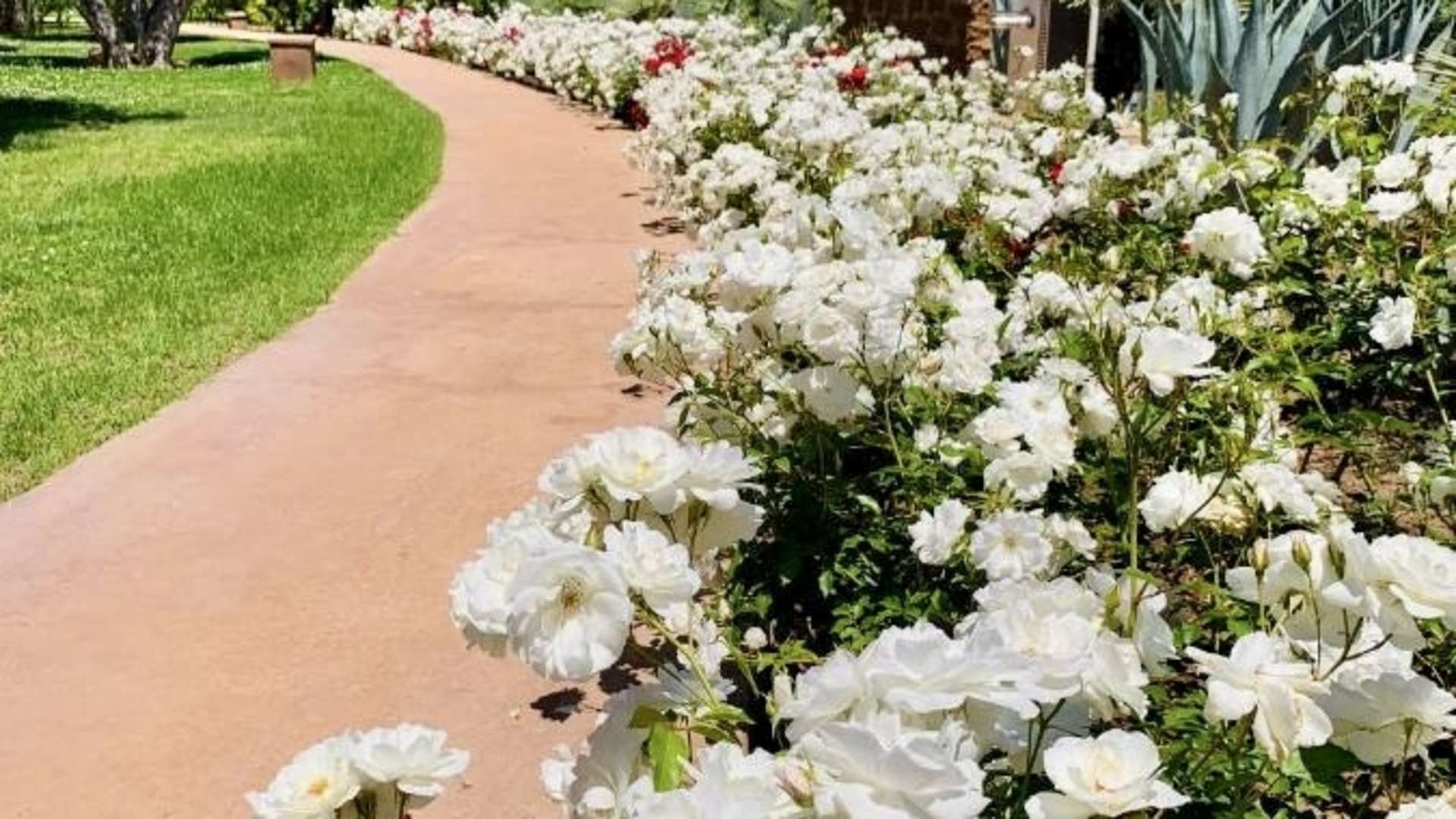 Location de vacances,Villa,Villa 6 chambres dans un domaine de 3 hectares de jardins verdoyants,Marrakech,Route de l'Ourika