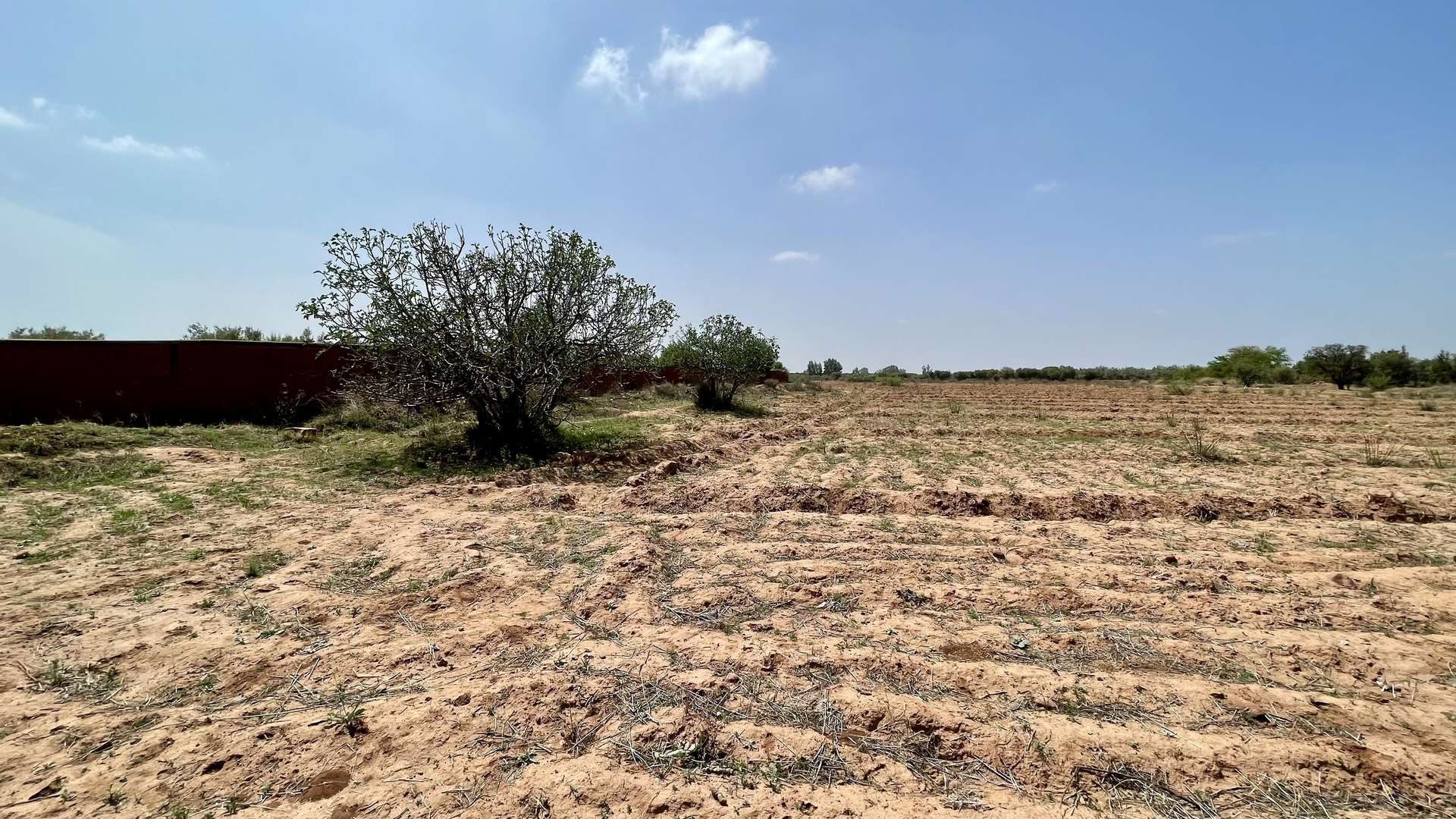 Vente,Terrains & Fermes,Lot de terrain titré 4 ha à Ghmate 28km du centre de Marrakech,Marrakech,Route de l'Ourika
