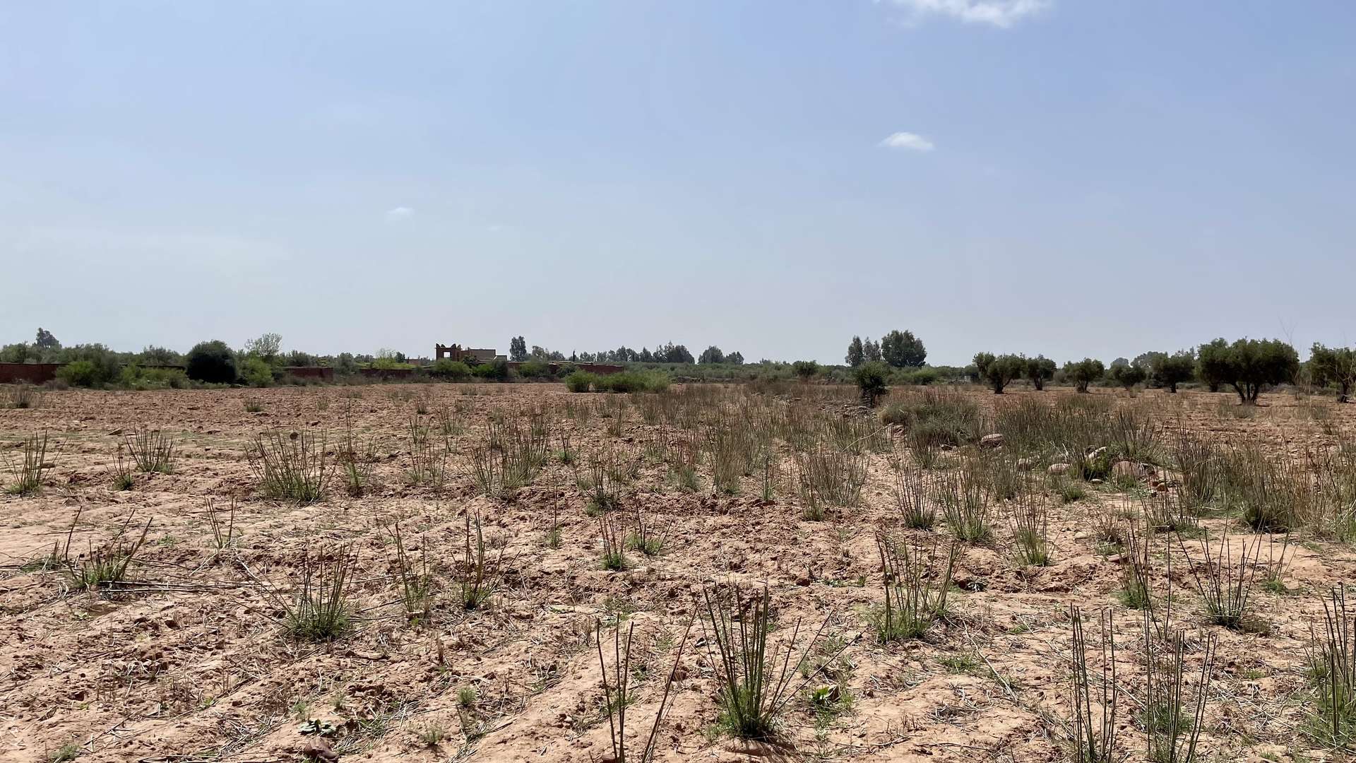 Vente,Terrains & Fermes,Lot de terrain titré 4 ha à Ghmate 28km du centre de Marrakech,Marrakech,Route de l'Ourika