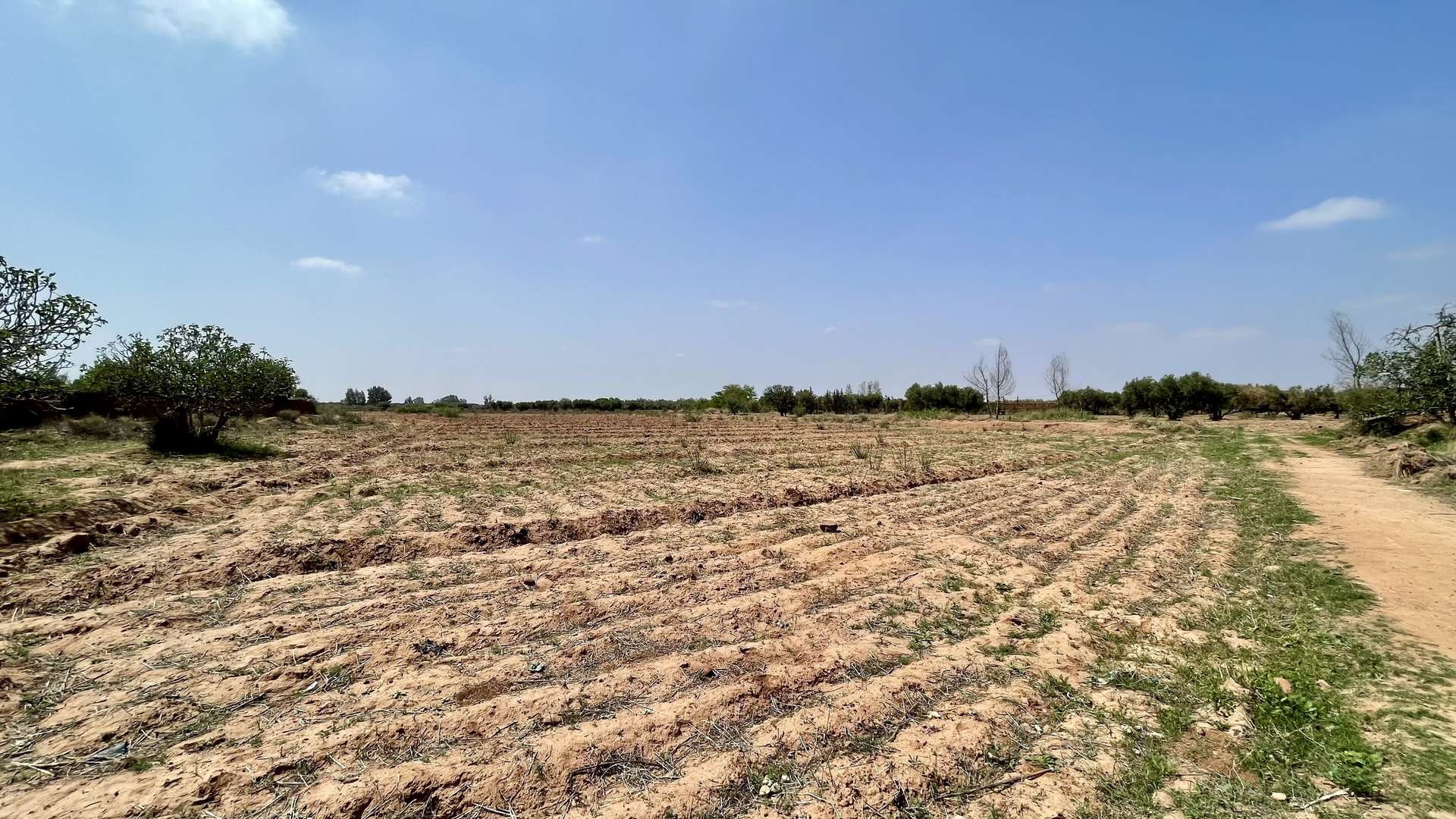 Vente,Terrains & Fermes,Lot de terrain titré 4 ha à Ghmate 28km du centre de Marrakech,Marrakech,Route de l'Ourika