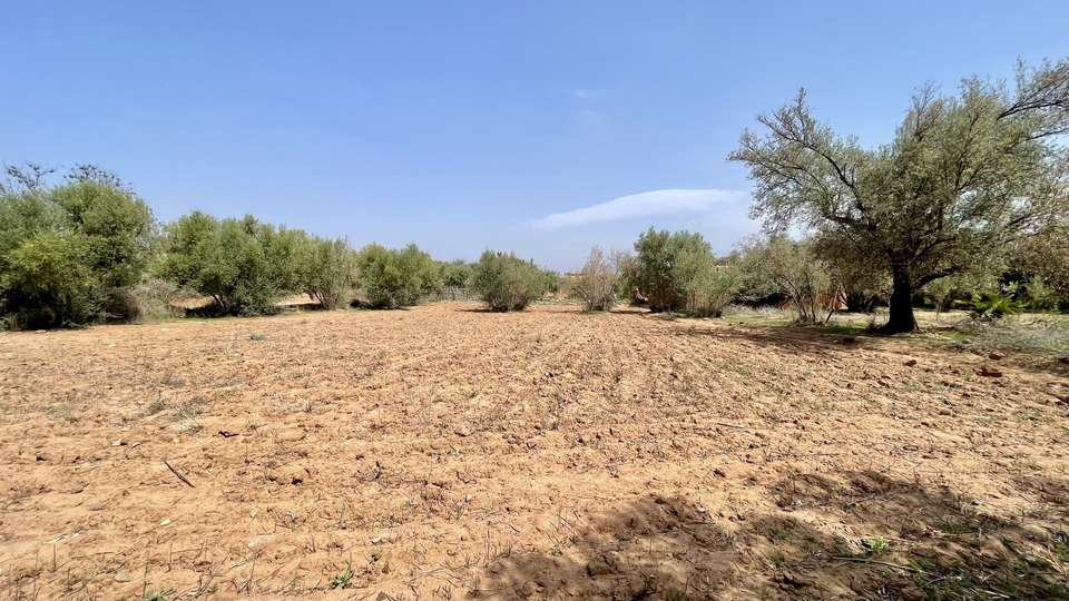 Villa Villa 650, Location à Ibiza