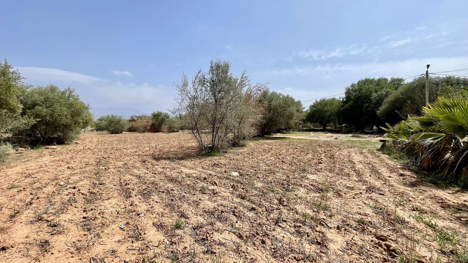 Vente,Terrains & Fermes,Lot de terrain titré 1792 M2 à Ghmate 28km du centre de Marrakech,Marrakech,Route de l'Ourika