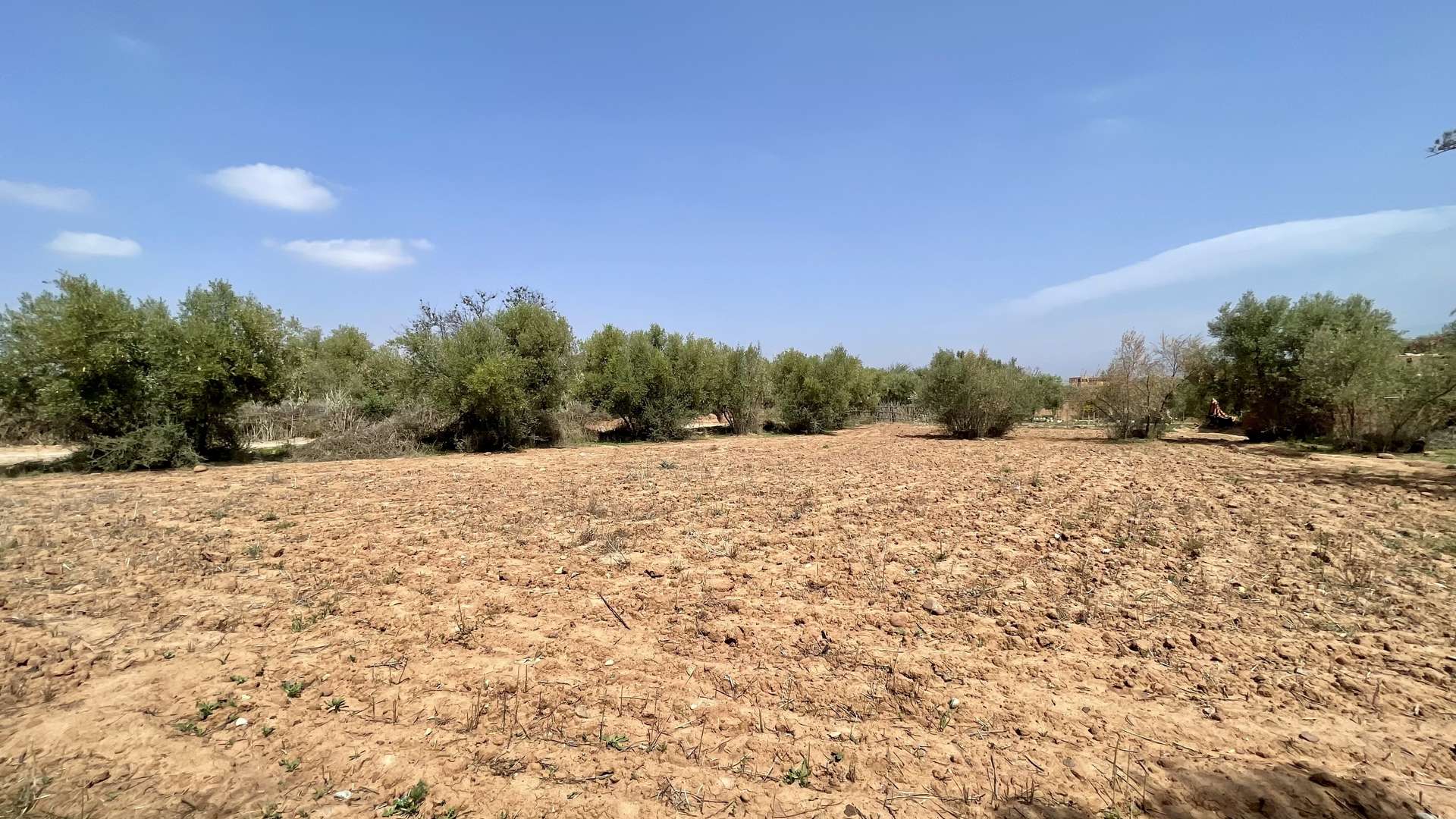 Vente,Terrains & Fermes,Lot de terrain titré 1792 M2 à Ghmate 28km du centre de Marrakech,Marrakech,Route de l'Ourika