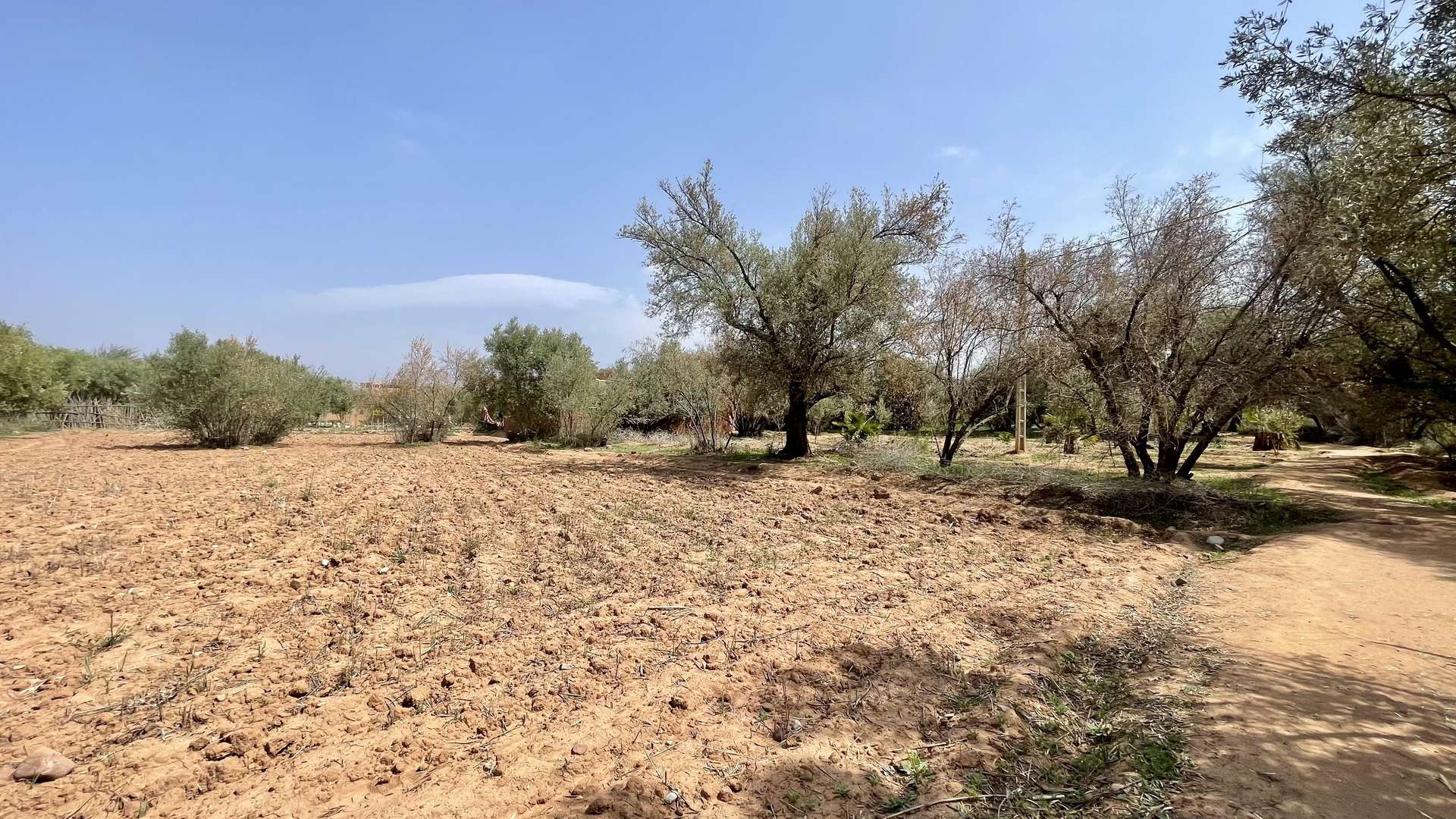 Vente,Terrains & Fermes,Lot de terrain titré 1792 M2 à Ghmate 28km du centre de Marrakech,Marrakech,Route de l'Ourika