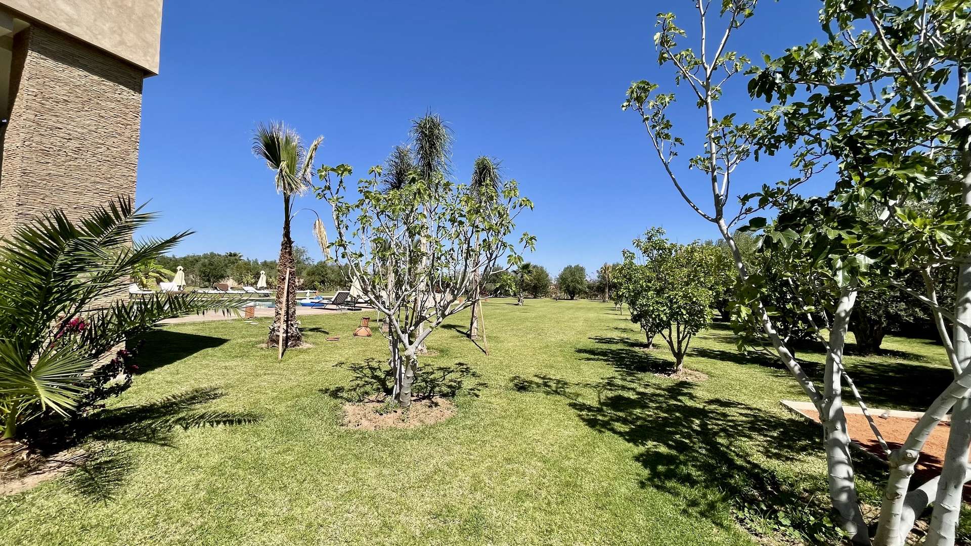 Location de vacances,Villa,Splendide Propriété privée de 5 suites sur un jardin de 6000 M2,Marrakech,Route d'Ouarzazate